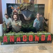 anacondastandee